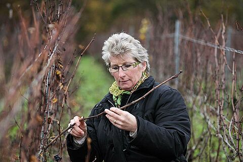 Winzerin auf dem Weinfeld, Weingut Francoise Bedel