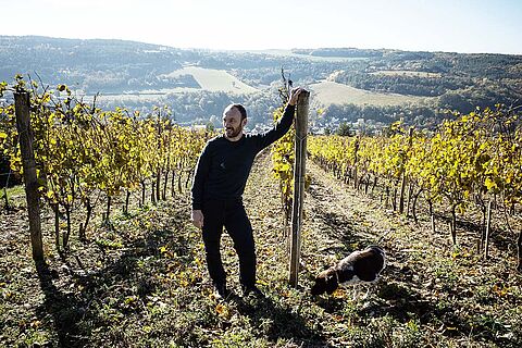 Aurélien Verdet in seinen Weinreben