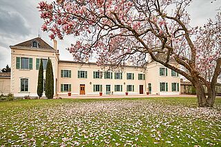 Chateau des Jacques Weingut mir Kirschblüten