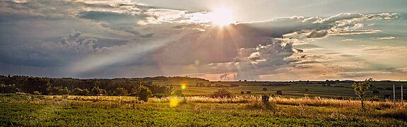 Oberösterreich Weinfeld Sonnenaufgang