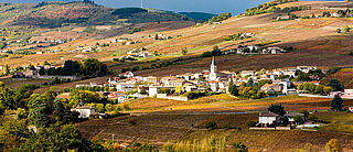 Beaujolais Frankreich
