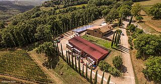 Fugleperspektiv af Ampeleia-vingården med vinmarker