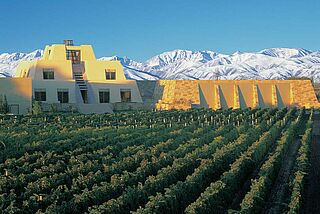Bodega Catena Zapata Winery med rækker af vinstokke