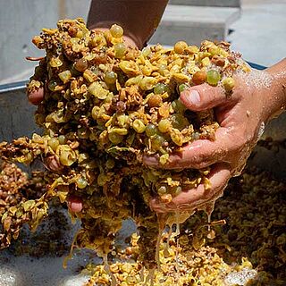 Wein Styles Naturwein Wein Styles Naturwein