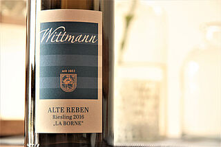 Wittmann Alte Reben