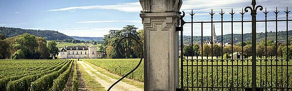 Bourgogne-vin