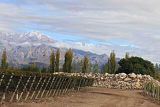 Mendoza Uco-dalen Mendoza Uco-dalen