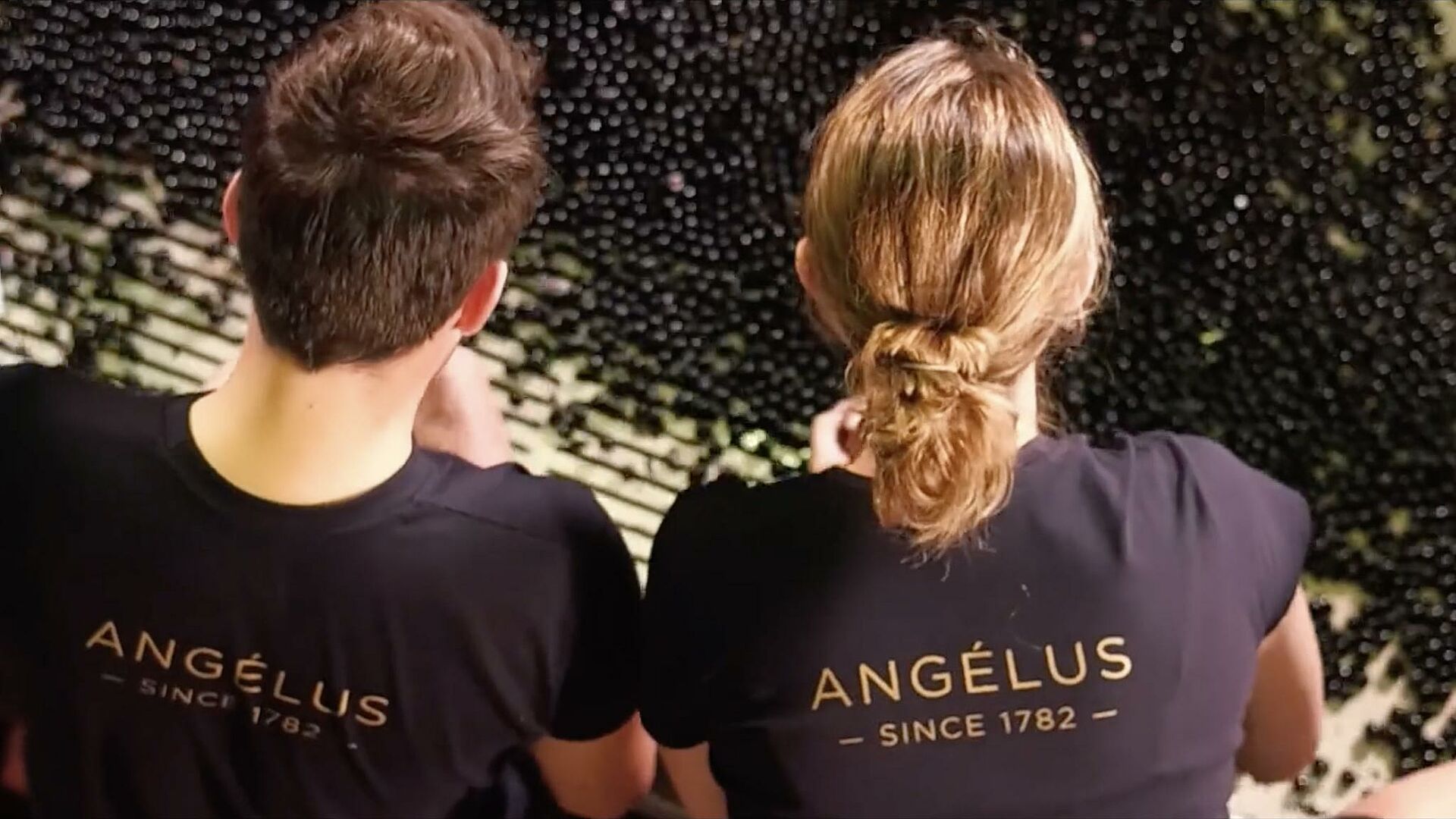 Chateau Angelus Video