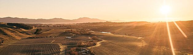 Marlborough Weinregion