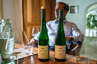 Toni Bodenstein Toni Bodenstein