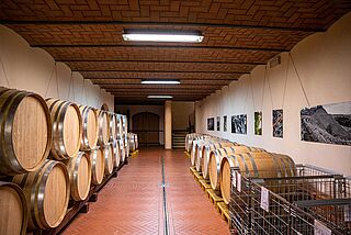 Weinkeller von Luciano Sandrone
