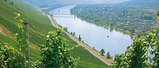 Markus Molitor Weinberg