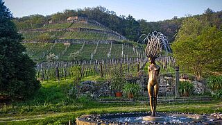 Klaus Zimmerlings vingårde Klaus Zimmerlings vingårde