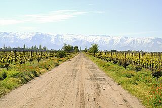 Maule Valley Weinregion