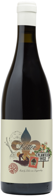 Lötter Cinsaut 2021