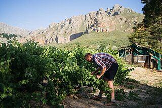 Winzer Von Loggerenberg