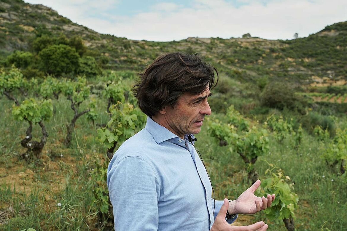 Al Muvedre – Telmo Rodriguez