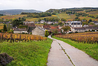 Blick über Mercurey
