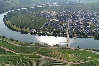 Weinberg von Christoph Basten Weinberg von Christoph Basten