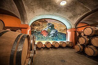 Weinkeller Tua Rita, Weinkeller