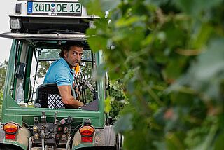 Winzer auf dem Traktor