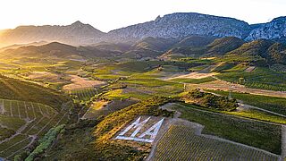 Mas Amiels vinmarker i Roussillon
