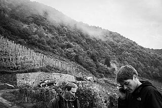 Weinberg Vollenweider