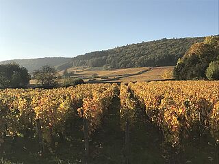 Verkostungsreise Burgund Lobenberg Gerstl