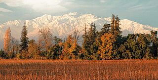 Berge im Hintergrund