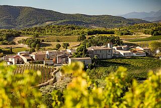 Vinmarkerne på Domaine Garrabou