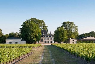 Chateau Cantemerle