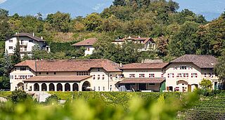Weingut Kettmeir mit Weinbergen