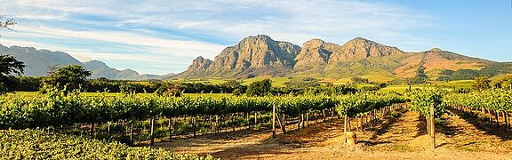 Südafrika Weinregion