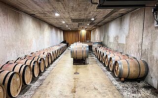 Can Rafols dels Caus Weinkeller mit Weinfässern