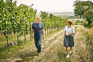 Weingut Heinrich