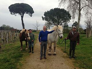 Jean Faure / Haut Maurac Jean Faure / Haut Maurac