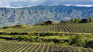 Weinfeld Italien, bjerge Weinfeld Italien, bjerge