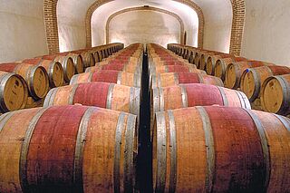 Weinkeller mit vielen Weinfässern