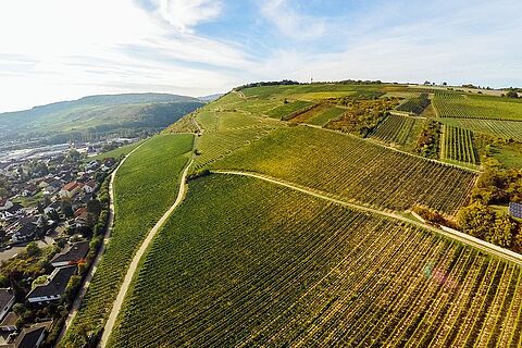 Rheinhessen
