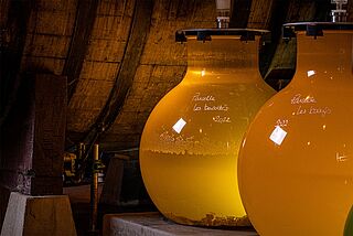 Weinkeller der Winzer