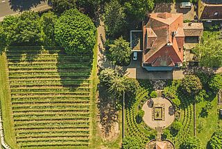 Sekthaus Raumland Weingut und Weinberg von oben