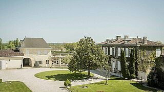 Prieure Lichine vingård, under en blå himmel i Margaux