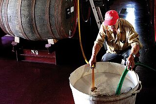 Kellerarbeit bei Barbeito Kellerarbeit bei Barbeito