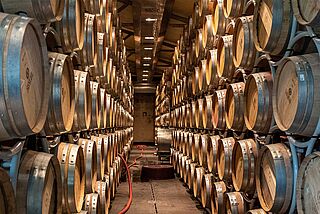 Weinkeller Tenuta San Guido