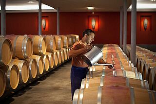 Weinkeller und Weinfässer Grand Puy Lacoste