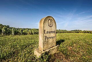 Weinfeld Laurent-Perrier
