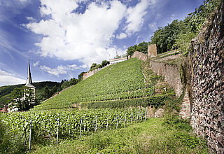 Schlossberg Weinlage