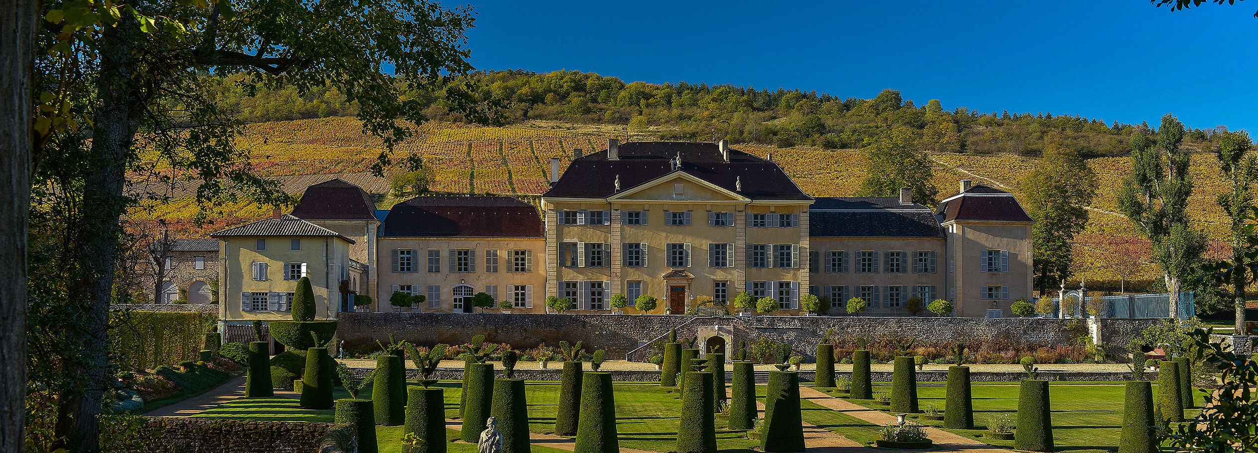 Burgund 2024
