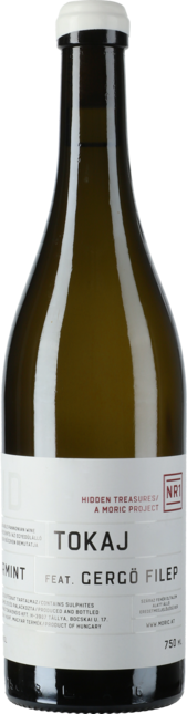 HT Nr. 1 Gergö Filep: Tokaj - Ungarn 2021