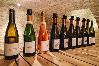 Weinverkostung auf dem Weingut Pierre Gerbais Weinverkostung auf dem Weingut Pierre Gerbais